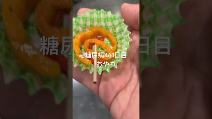 透析界隈の動画見てたら怖くなってきた糖尿病461日目コストコで貰った試食一覧　#糖尿病の品格 #糖質制限 #血糖値 #vlog #日常 #食事 #食事記録 #コストコ #試食