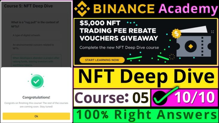 Binance Academy Course 5 and Quiz || NFT Deep Dive