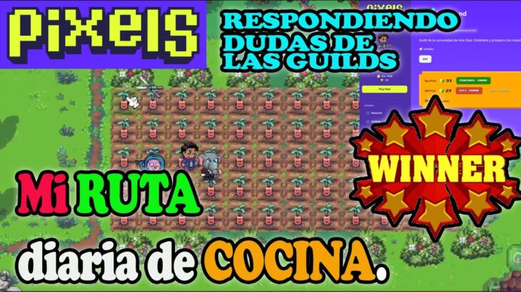 Estrategia Definitiva de Cocina en PIXELS NFT + Primer Sorteo 🎁💰