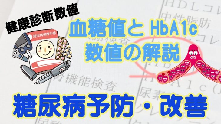 【健康診断数値】血糖値とHbA1cについてわかりやすく解説！糖尿病予防改善の食事とは？