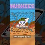 Hushies #1547 #nft