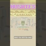 Hushies #1633 #nft