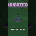 Hushies #1639 #nft