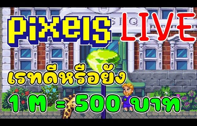 [ LIVE ] Pixel ( Game NFT ) หาเงิน รายได้เสริม EP.139