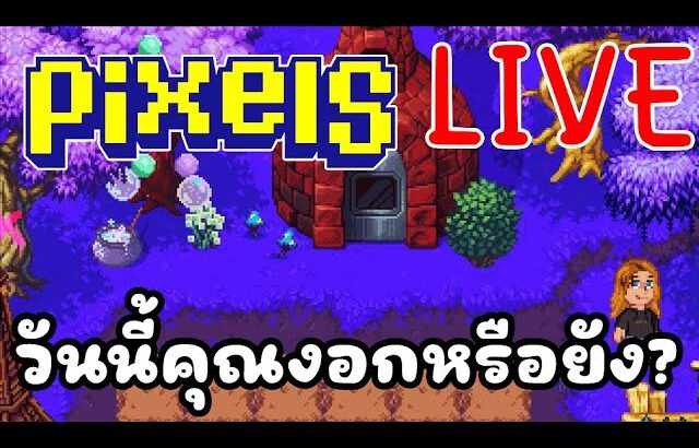 [ LIVE ] Pixel (NFT ) : 3 เม็ดมีอยู่จริงๆ EP.135