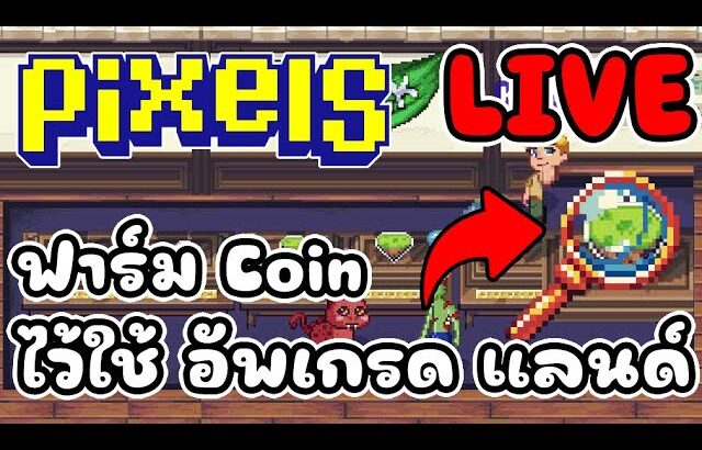 [ LIVE ] Pixel x Ducky (NFT) สายฟรียังรอดไหม ? EP.151