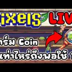 [ LIVE ] Pixel x Ducky (NFT) คนหาย/บอทหาย ? EP.152