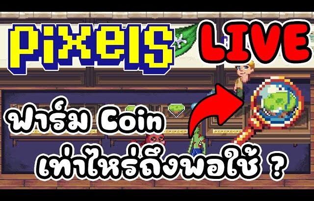 [ LIVE ] Pixel x Ducky (NFT) คนหาย/บอทหาย ? EP.152