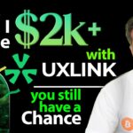 Made $2k worth $UXUY airdrop tokens doing nothing UXLink NFT vouchers Launched