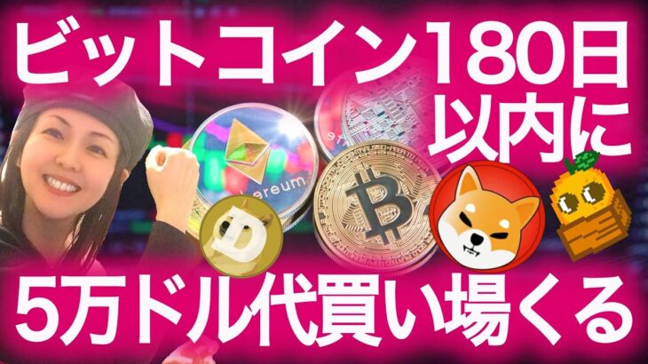 【ビットコイン初心者必見】アルトコイン強い 新しいコインブーム NFTまり