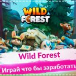 🚀Wild Forest🚀 Топовая P2E Игра на Телефон 🚀 Играй что бы заработать 🚀 NFT Игра на Ronin 🚀