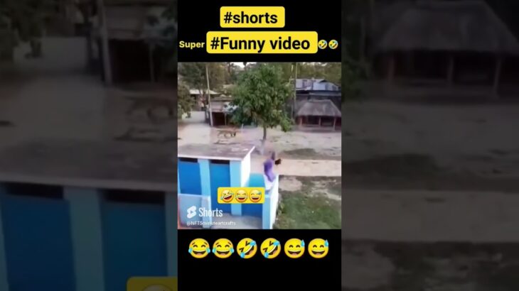 #funny #shorts 🤣 😂 fun time NFT shorts