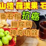 〈職人吹水〉番石榴/神奇功效/抗癌/糖尿病/相當好療效/煲山楂羅漢果/山楂羅漢果石榴茶/夏日推介/保健涼茶/頻道會員優先 @singsingkitchen