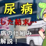 【糖尿病】症例、仕組み、合併症分かりやすく解説　ずんだもん救急搬送【ずんだもん解説】