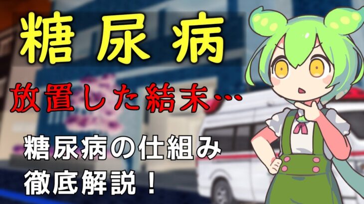 【糖尿病】症例、仕組み、合併症分かりやすく解説　ずんだもん救急搬送【ずんだもん解説】