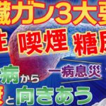 【糖尿病と膵臓癌】糖尿病になると膵臓癌にもかかりやすいと言われています。見方を変えれば、早期に糖尿病を知ることで早期予防にもつながります。