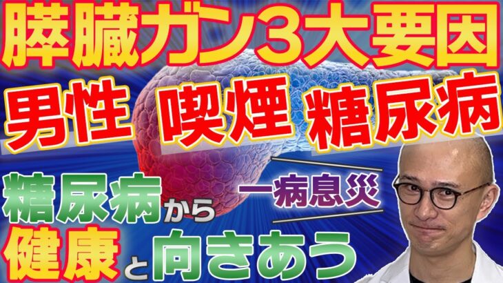 【糖尿病と膵臓癌】糖尿病になると膵臓癌にもかかりやすいと言われています。見方を変えれば、早期に糖尿病を知ることで早期予防にもつながります。