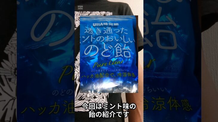 #糖尿病 #血糖値 ミントのアメで食欲が抑えられないか？〜糖質少なめ