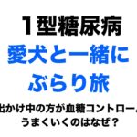 【１型糖尿病】愛犬とぶらり旅〜お出かけ中のほうが血糖コントロールがいいのはなぜ？