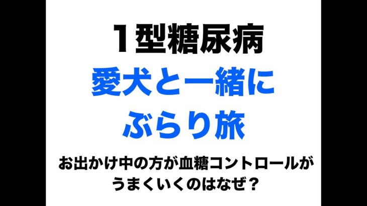 【１型糖尿病】愛犬とぶらり旅〜お出かけ中のほうが血糖コントロールがいいのはなぜ？