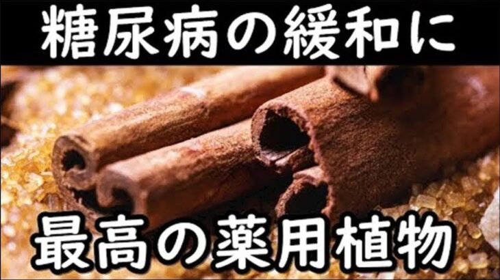 糖尿病の症状を緩和する最高の薬用植物がコレ！症状の悪化や合併症の予防におすすめの薬用植物とは？