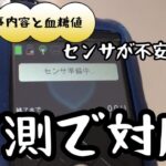 【1型糖尿病】1日の食事内容と血糖コントロール　センサが不安定で実測多めの日　インスリンポンプ　ミニメド780G使用中