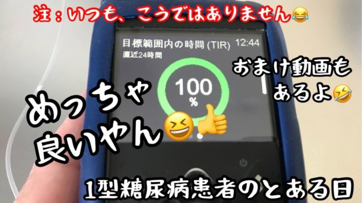 【1型糖尿病】昼食内容と血糖コントロール　驚きの1日　おまけ有り　インスリンポンプ　ミニメド780G使用中