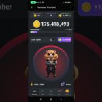 13 Шифр в HK!!!               #hamsterkombat #bitcoin #crypto #nft #coin #binance #btc