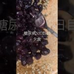 コロッケゴーヤチャンプルー煮豆豚汁定職を食べる糖尿病500日目夕食 #糖尿病 #糖質制限 #闘尿病の品格 #闘病生活 #茄子 #料理 #食事 #vlog #血糖値 #日常 #糖尿病の品格 #毎日投稿