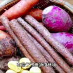 糖尿病美食：6种杂粮米饭，好吃又营养