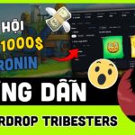 Game NFT Tribesters | Hướng dẫn làm Airdrop cơ hội kiếm 1000$ trên hệ Ronin – X GameFi