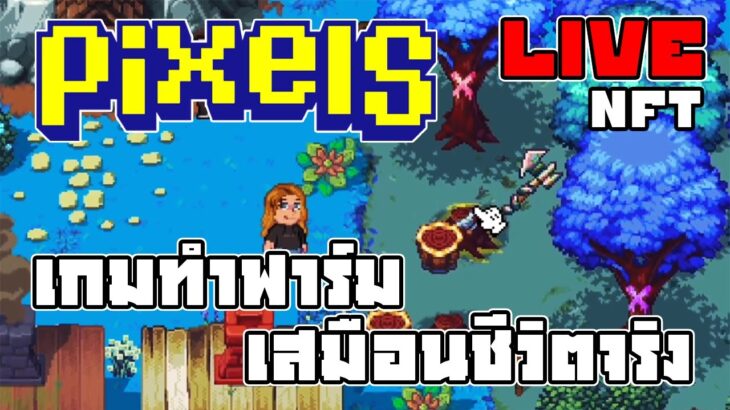 [ LIVE ] Pixel & backwoods (NFT) คนเล่น งง กันเยอะมากๆ EP.171