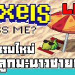 [ LIVE ] Pixel & backwoods (NFT) ปรับเรท X10 เท่า EP.172