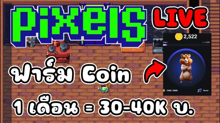 [ LIVE ] Pixel x Ducky x Hamste (NFT) 30-40K บาท/ด EP.163