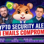 NFT Market Rises, Cardano NFT $219k Sale, BNB Surge, CoinGecko’s Emails Hack 🐹🧨 Hamster News