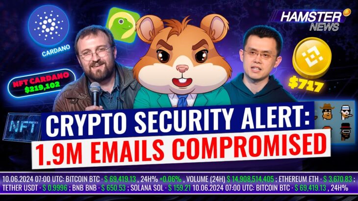 NFT Market Rises, Cardano NFT $219k Sale, BNB Surge, CoinGecko’s Emails Hack 🐹🧨 Hamster News