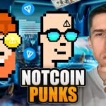 NOT PUNKS – ХАЙПОВАЯ NFT КОЛЛЕКЦИЯ