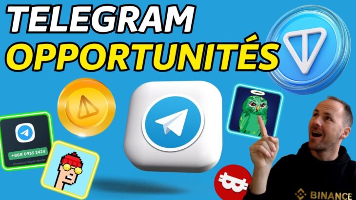 TELEGRAM : OPPORTUNITÉ CRYPTO NFT & GAMING – $RON GRATUIT – ACTU