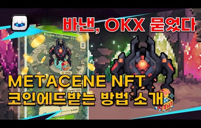 중국쪽 VC 대거포진, 1,500만불 투자받은 METACENE NFT 코인에드 받는 방법 소개(xmetacene, mixmarvel, xpet)