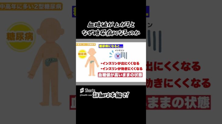 血糖値が上がるとなぜ糖尿病になるのか？　#糖尿病 #血糖値 #下げる #shorts