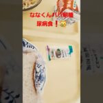 ななくんパパ朝の糖尿病食❗😿#糖尿病食 #糖尿病#shorts