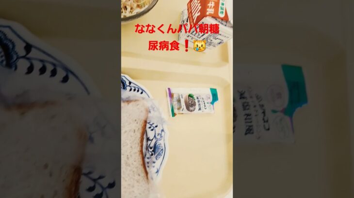 ななくんパパ朝の糖尿病食❗😿#糖尿病食 #糖尿病#shorts