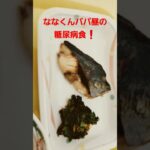 ななくんパパ昼の糖尿病食❗#糖尿病#糖尿病食 #shortvideo #shorts