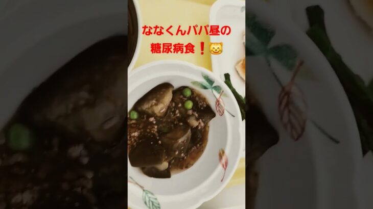 ななくんパパ昼の糖尿病❗グッド👍️いいね登録お願いします😭✨#糖尿病食 #糖尿病