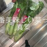 一番美味しい菜っ葉は真菜だと気づく #糖尿病の品格 #糖尿病 #おひたし