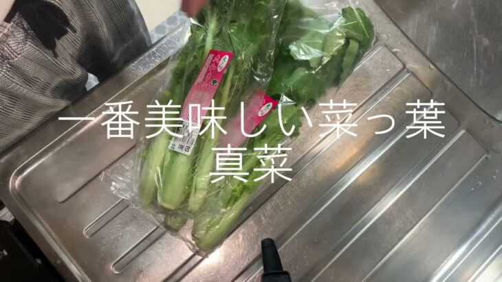 一番美味しい菜っ葉は真菜だと気づく #糖尿病の品格 #糖尿病 #おひたし