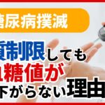 【糖尿病撲滅】糖質制限しても血糖値が下がらない理由