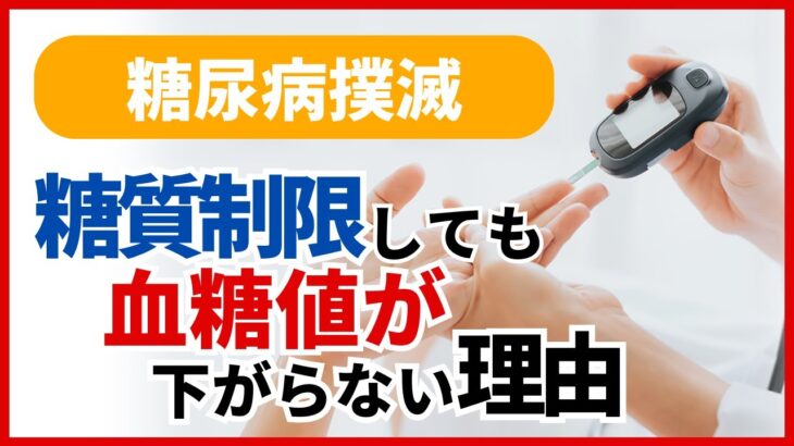 【糖尿病撲滅】糖質制限しても血糖値が下がらない理由