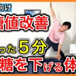 【糖尿病予防】1日たった5分で血糖値を下げる全身動かすお家有酸素運動（座位でも可能）