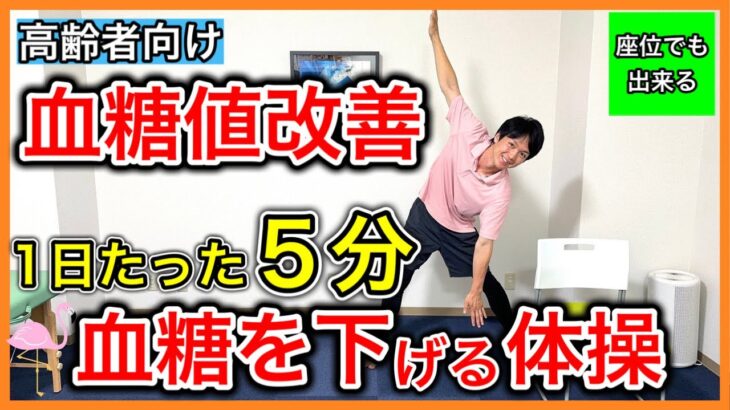 【糖尿病予防】1日たった5分で血糖値を下げる全身動かすお家有酸素運動（座位でも可能）